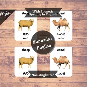Farm Animals | KANNADA | English Bilingual Cards | 27 Kannada Flash ...