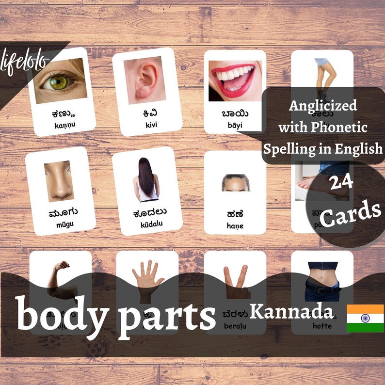 Body Parts (real) | KANNADA | English Bilingual Cards | 24 Kannada ...