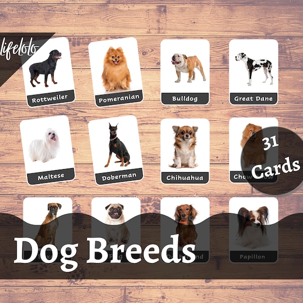 Dog Breeds Flash cards - 31 Cards | Montessori Material | Homeschooling | Educational | Three Part Cards | Digital Download | Printable Card