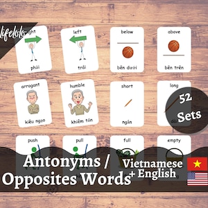 Antônimos Flashcards vietnamitas, cartões bilíngues em inglês, 104 palavras opostas, cartões flash vietnamitas, material Montessori, crianças para impressão