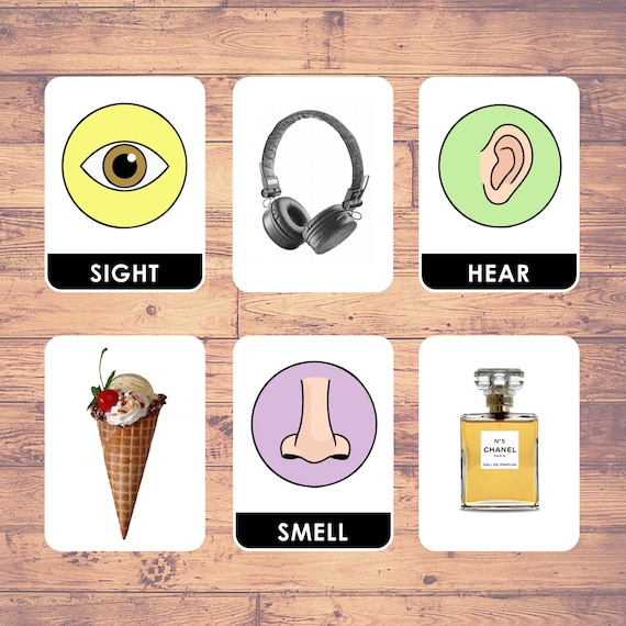 Five Senses 30 Cards Sorting Cards Montessori - Etsy