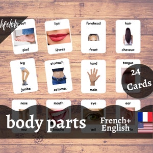 Body Parts (Real) | FRENCH | English Bilingual Cards | 24 French Flash Cards | Montessori Materials | Homeschooling - Printable Download