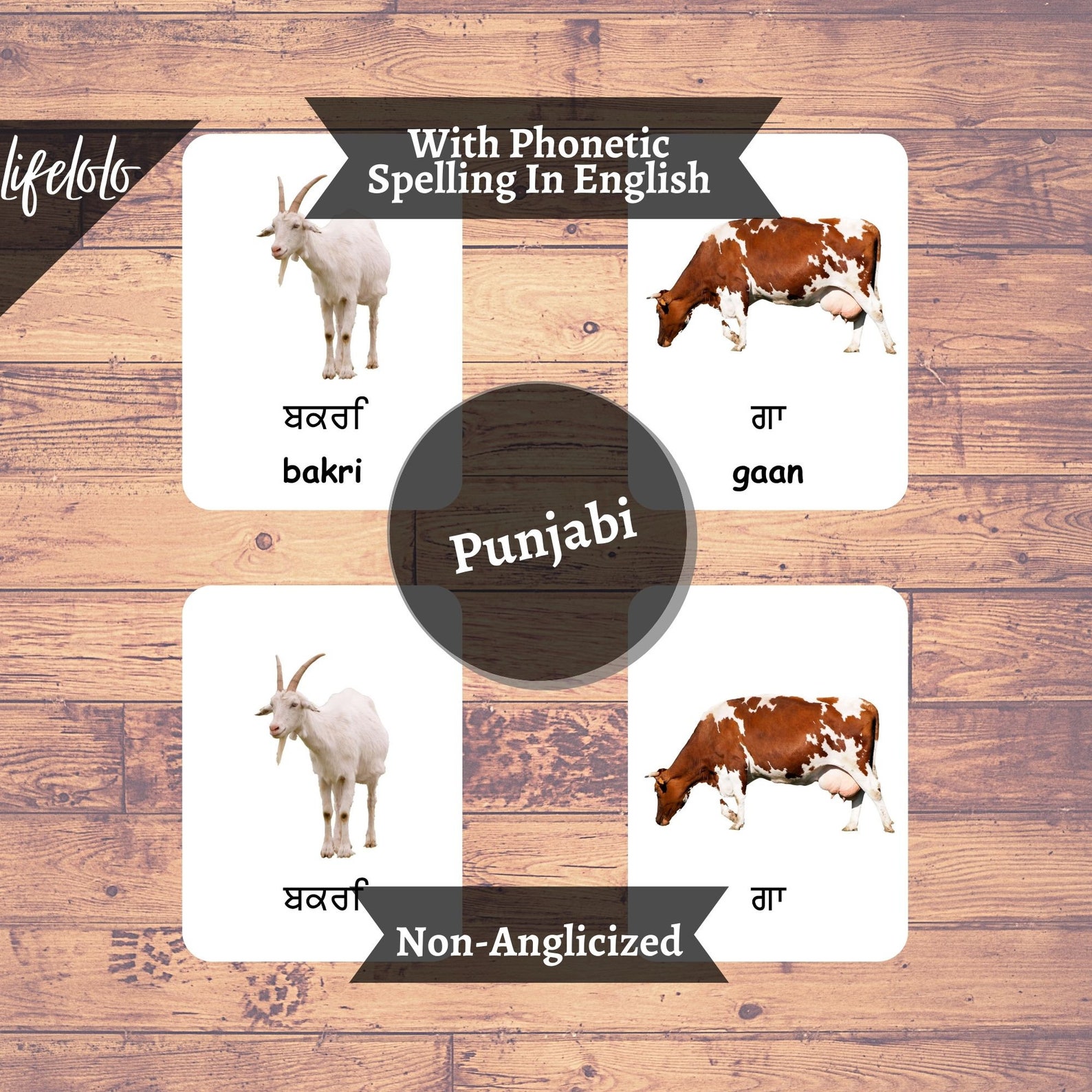 Farm Animals PUNJABI English Bilingual Cards 27 Punjabi Etsy España