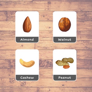 Nuts Flash Cards |  13 Montessori Cards |  Homeschooling | Three-Part Cards |  Flashcards Printable