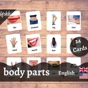 Partes do corpo (reais) | Cartões ingleses | 24 cartões flash | Materiais Montessori | Ensino em casa - download para impressão