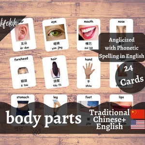 Parties du corps (réelles) | Chinois traditionnel | Cartes bilingues anglais | 24 Flashcards Chinois | Matériel Montessori | Téléchargement imprimable pour enfants