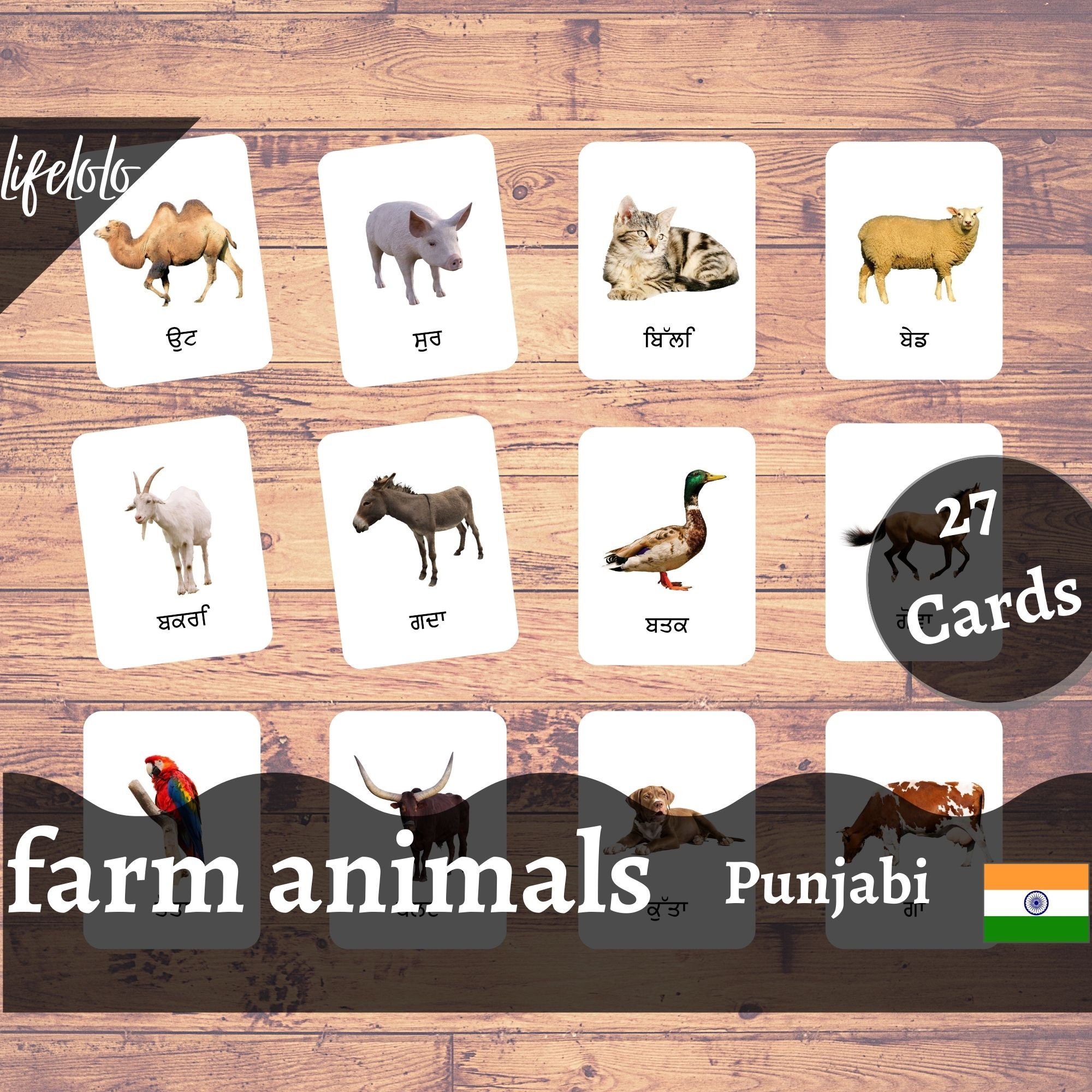 Farm Animals PUNJABI English Bilingual Cards 27 Punjabi Etsy España