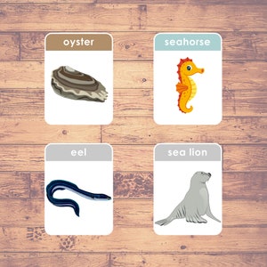 Sea Animals - Flashcards | Montessori | Homeschooling | Educational | Three-Part Cards (26 Cards) - Digital Download