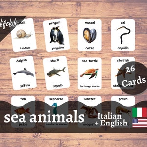 Meerestiere ITALIAN Version - Englische zweisprachige Karten | 26 Italienische Lernkarten | Homeschooling | Lehrmaterial - Download Printable