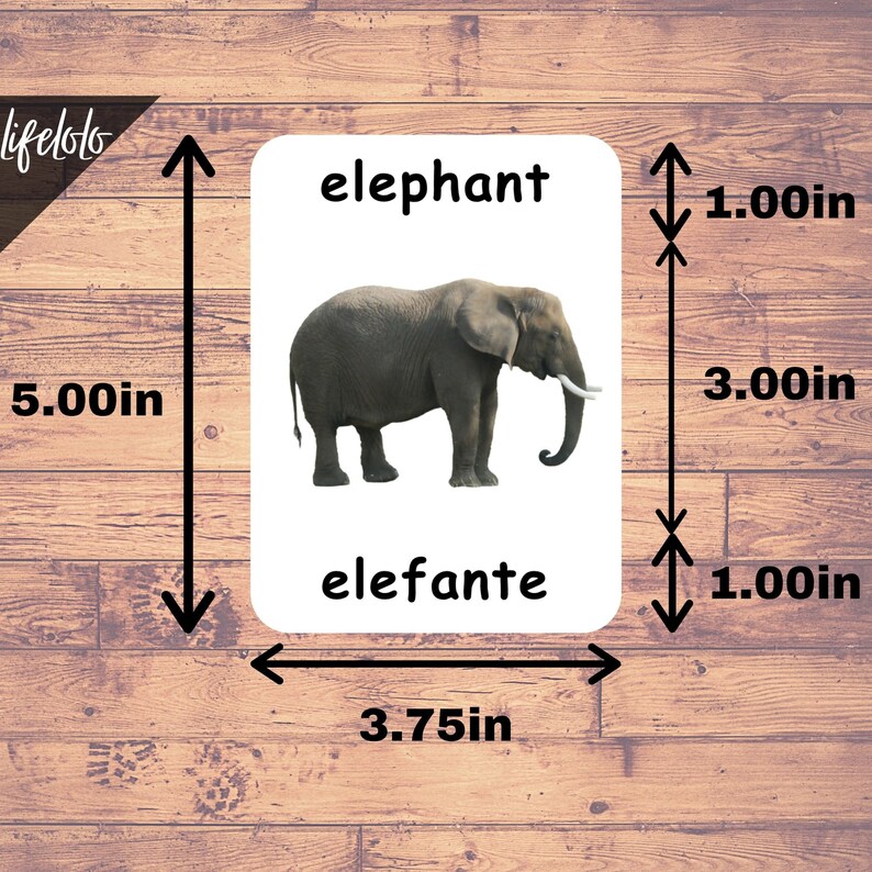 May include: A white flashcard with a black border, measuring 3.75 inches by 5 inches. The card features a picture of an elephant and the words "elephant" and "elefante".
