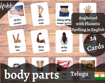 Body Parts (Real) TELUGU English Bilingual Cards 24 Telugu Flash  Cards Montessori Materials Homeschooling Printable Download