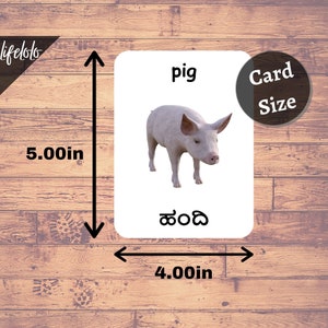 Farm Animals | KANNADA | English Bilingual Cards | 27 Kannada Flash ...