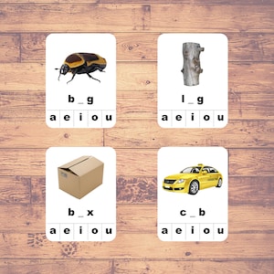 Pink Series (50 Cards) - Clip Cards | Montessori | Homeschooling | Educational - Digital Download