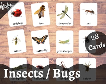Cartes insectes insectes -28 cartes | Cartes Montessori Insectes en 3 parties | Enseignement à la maison | Cartes de nomenclature | Matériel de la carte PDF | Imprimable