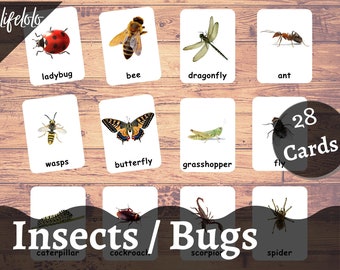 Insecten Insectenkaarten -28 kaarten | Montessori Insect 3 deelkaarten | Thuisonderwijs | Nomenclatuurkaarten | Kaartmateriaal PDF | Afdrukbaar