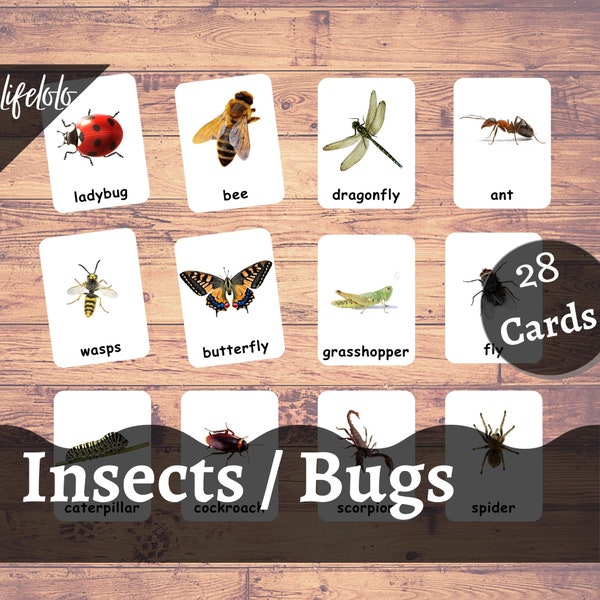Bugs Insects Cards -28 Cards | Montessori Insect 3 Part Cards | Homeschooling | Nomenclature Cards |  Card Material PDF | Printable