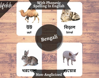 Farm Animals BENGALI English Bilingual Cards 27 Bengali - Etsy Singapore Farm Animals BENGALI English Bilingual Cards 27 Bengali - Etsy Singapore