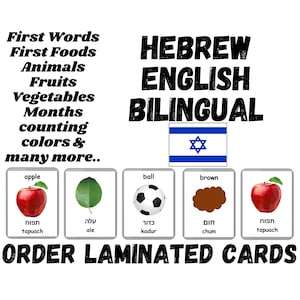 Hebrew Laminated Flash Cards | Handmade Flash Cards | Laminated Three Part Cards | Bilingual - English & Hebrew