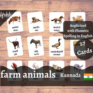 Farm Animals | KANNADA | English Bilingual Cards | 27 Kannada Flash ...