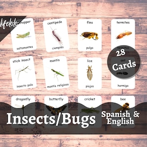 Insects, Bugs, 28 Spanish Flash Cards, English Bilingual Cards, Three part Cards, Printable Cards, Homeschool, Insect Animals Learning