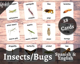Insects, Bugs, 28 Spanish Flash Cards, English Bilingual Cards, Three part Cards, Printable Cards, Homeschool, Insect Animals Learning