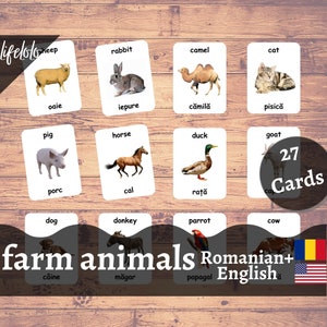 Animali da fattoria - Schede flash RUMENO, Schede bilingue inglesi, Materiale Montessori, Scuola materna domiciliare, Montessori stampabile