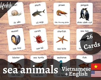 Sea Animals VIETNAMESE Version - English Bilingual Cards | 26 Vietnamese Flash Cards | Homeschooling | Educational Material - Download