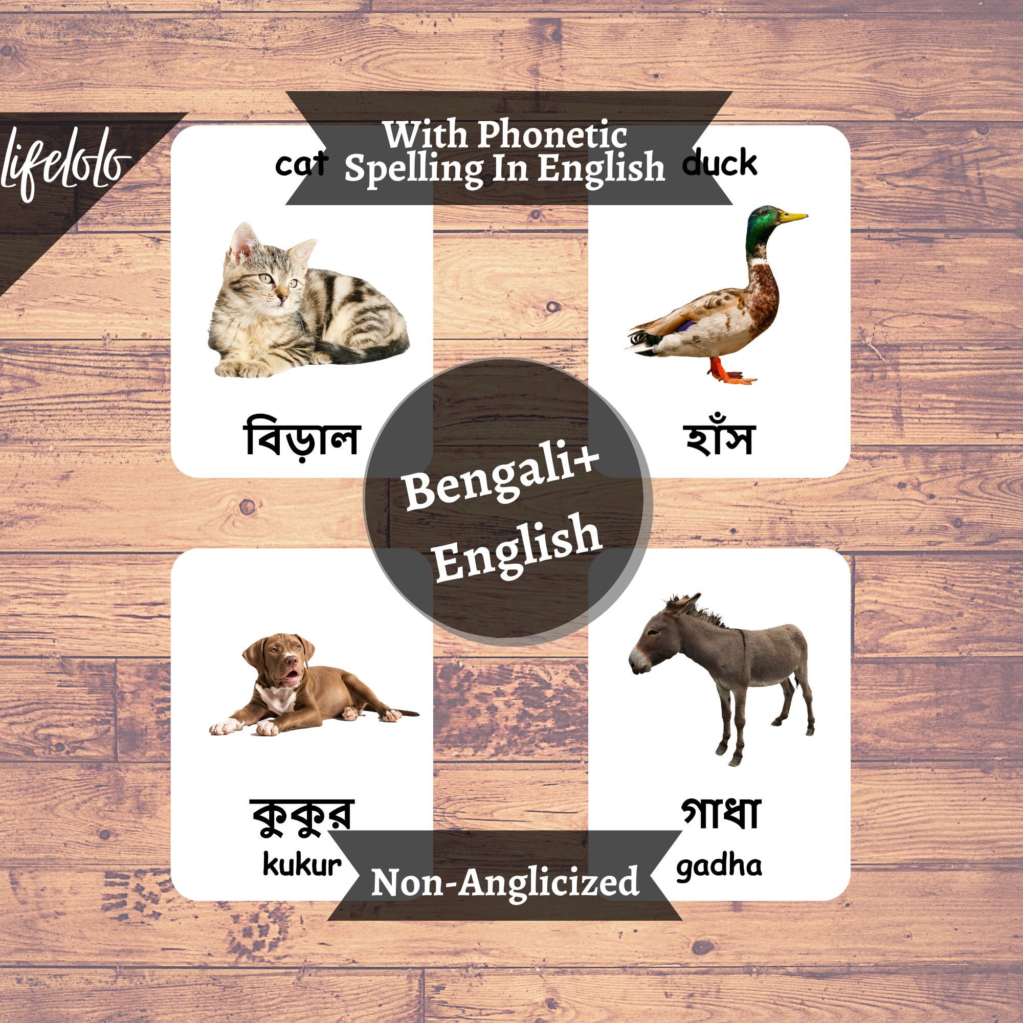 Farm Animals BENGALI English Bilingual Cards 27 Bengali - Etsy Singapore Farm Animals BENGALI English Bilingual Cards 27 Bengali - Etsy Singapore
