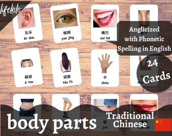 体の部位（実物） | 繁体字中国語 | 英語バイリンガルカード | 中国語