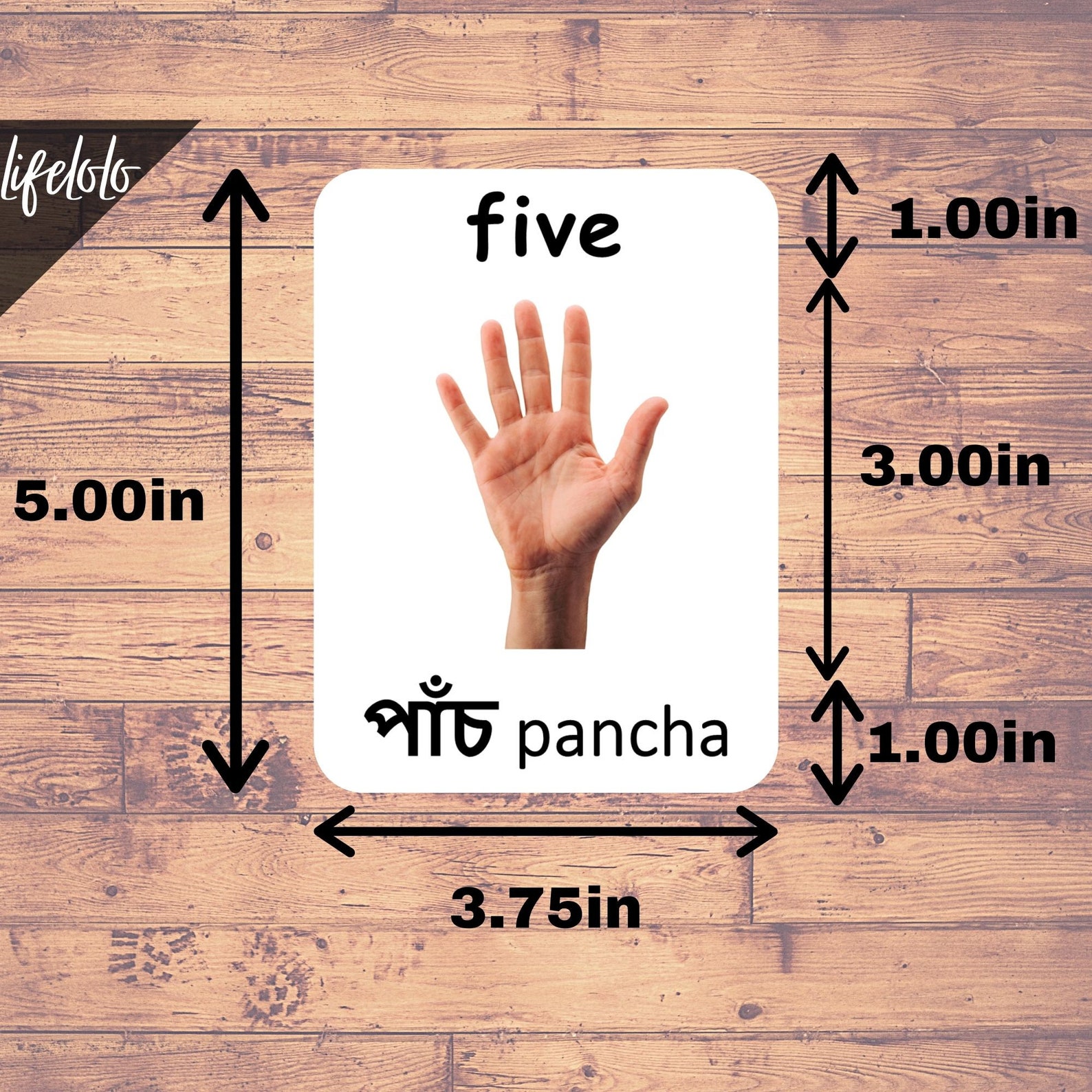 BENGALI Numbers in Words Counting Flashcards Learn Bengali Etsy
