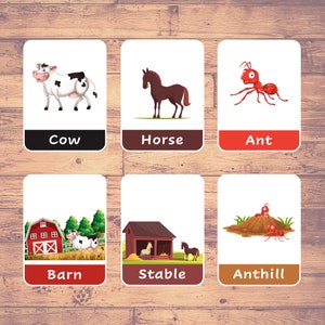 Op de afbeelding: Zes geïllustreerde flashcards met afbeeldingen en woorden die betrekking hebben op boerderijdieren en hun leefomgeving. De kaarten tonen een koe, een paard, een mier, een schuur, een stal en een mierenhoop.