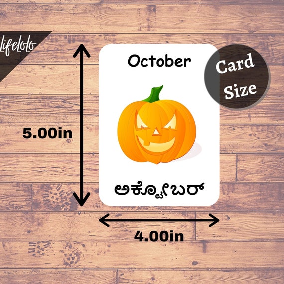 Buy Months of the Year KANNADA Flash Cards 12 Bilingual Cards Online in  India 