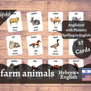 Farm Animals | HEBREW | English Bilingual Cards | 27 Hebrew Flash Cards | Three Part Cards | Nomenclature Materials - Digital Download