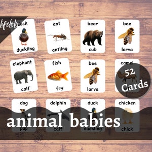Animal Babies Flash Cards, Montessori Cards, Nursery Printable, Montessori Printable, Homeschooling, Baby Animal Names, Printable Cards