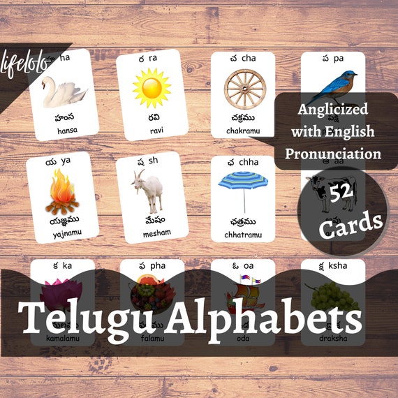 English to Telugu Vocabulary Section 1