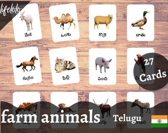 Buy Farm Animals TELUGU English Bilingual Cards 27 Telugu Online in India - Etsy Buy Farm Animals TELUGU English Bilingual Cards 27 Telugu Online in India - Etsy