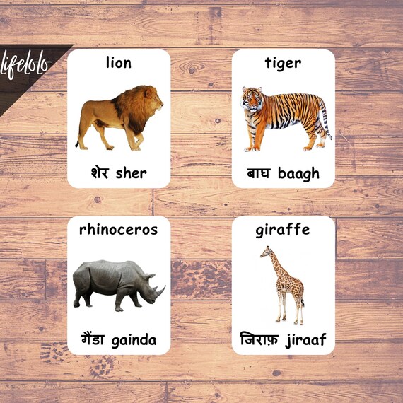 Wild Animals HINDI Version English Bilingual Cards 41 - Etsy Wild Animals HINDI Version English Bilingual Cards 41 - Etsy