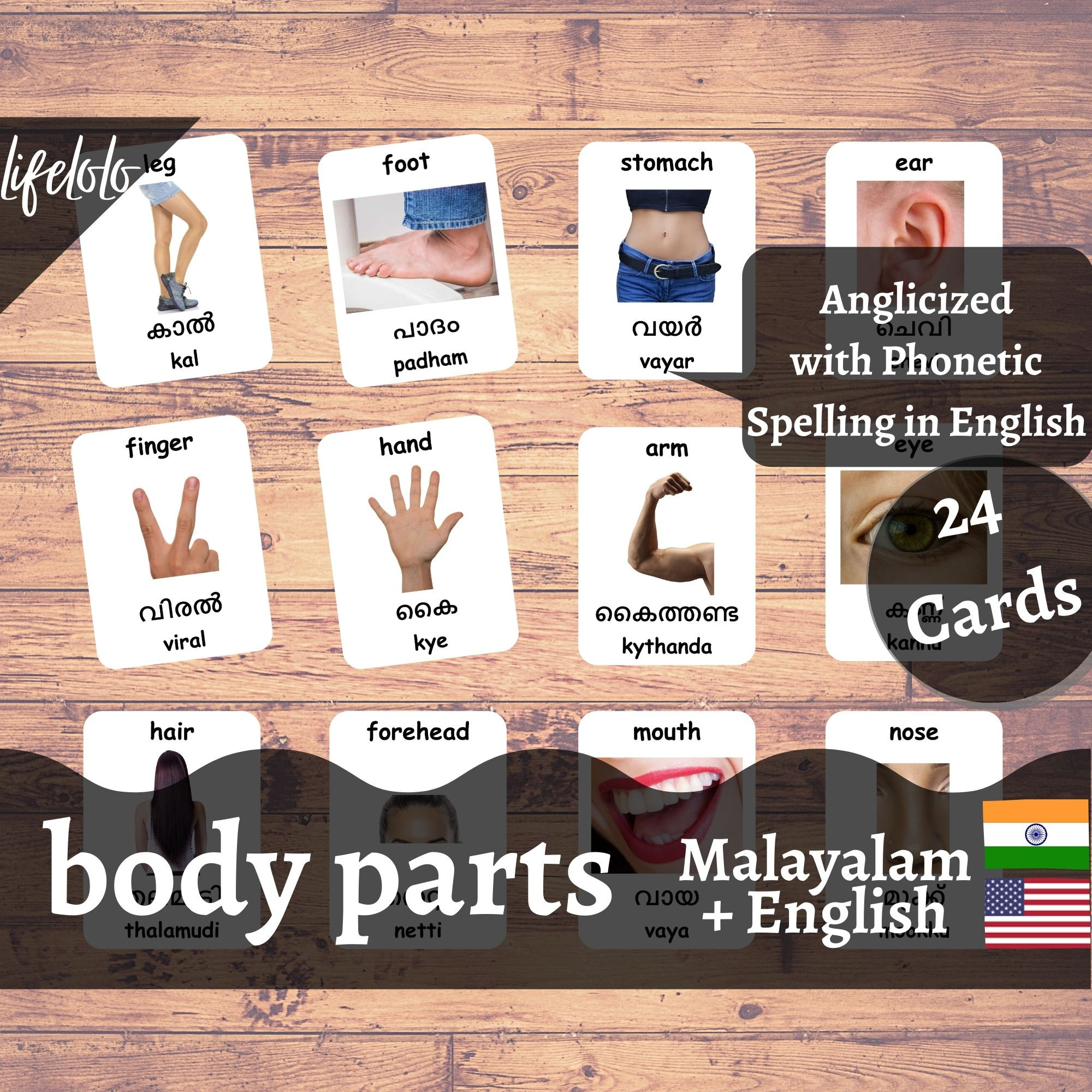 体の部位（実物） | マラヤーラム語 | 英語バイリンガルカード | マラヤーラム語フラッシュカード 24 枚 | モンテッソーリ教材 |  ホームスクール用印刷可能なダウンロード - Etsy 日本