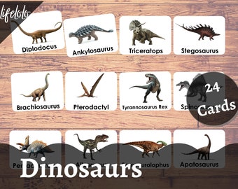 Dinosaurussen Flash-kaarten | Montessorikaarten | 3 deelkaarten, afdrukbaar voor kinderen, pre-k leren, afdrukbare kaarten, afdrukbaar voor dinosaurussen, kleuterschool