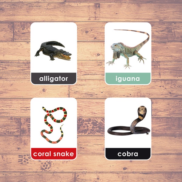 Reptiles (20 cartes) - Flashcards | Casse-tête | Activité Montessori | Cartes en 3 parties | Enseignement à domicile - Téléchargement numérique