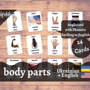 Body Parts (Real) | UKRAINIAN | English Bilingual Cards | 24 Ukrainian Flash Cards | Montessori Materials | Homeschooling-Printable Download
