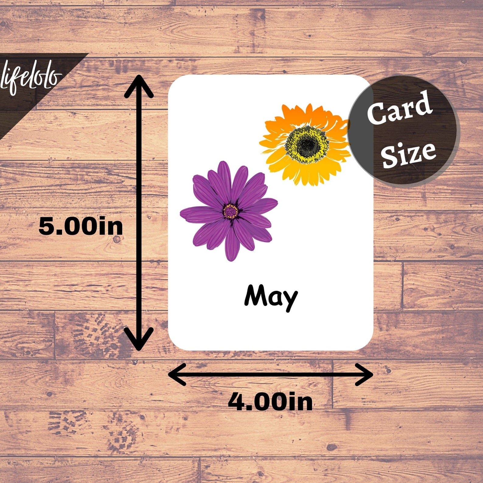 Months of the Year Flash Cards 12 Flash Cards Montessori - Etsy
