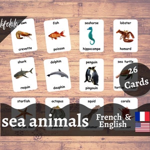 Versione FRANCESE degli animali marini - Schede bilingue inglesi / 26 Schede Flash francesi / Homeschooling / Materiale didattico - Scarica stampabile