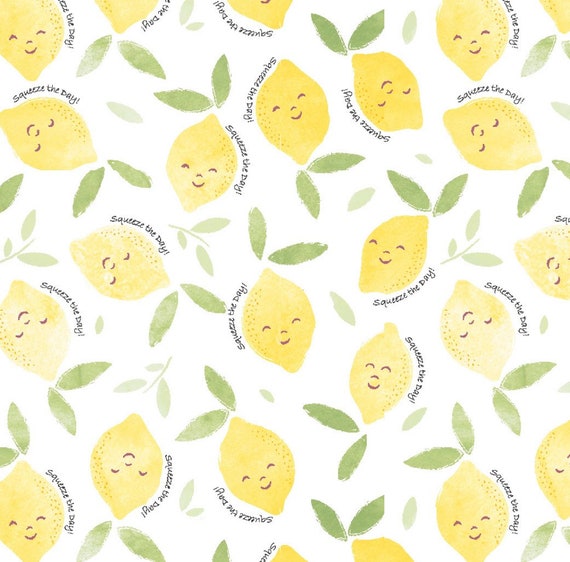 Squeeze The Day Lemons 2 Ply NonPaper towels 6 pack | Snaps Optional | Washable Reusable Cloth Paper Towel Roll
