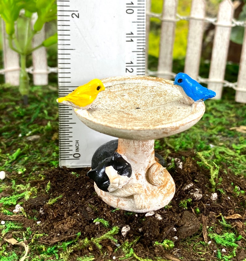 Miniature Fairy Garden Bird Bath with a Bluebird Yellow Bird Etsy