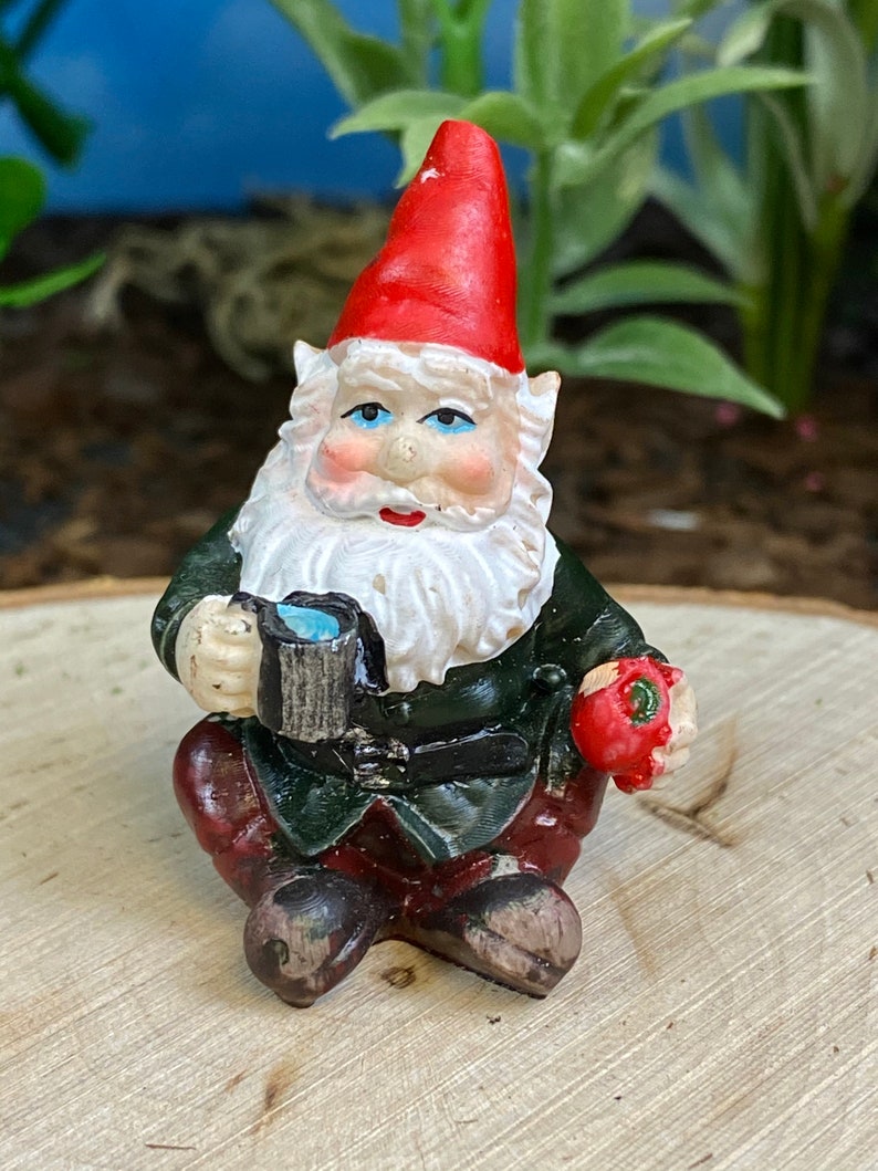 terrarium gnomes