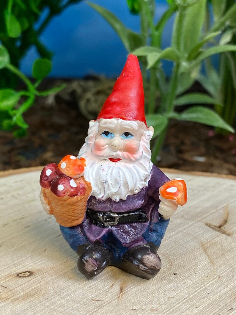 terrarium gnomes