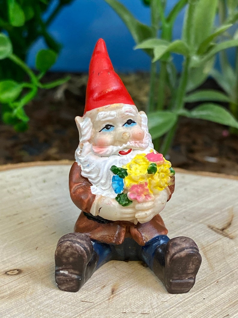 terrarium gnomes