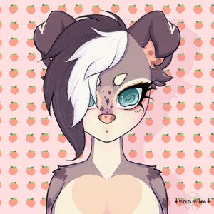 Symmetrische Kopfschüsse Furry