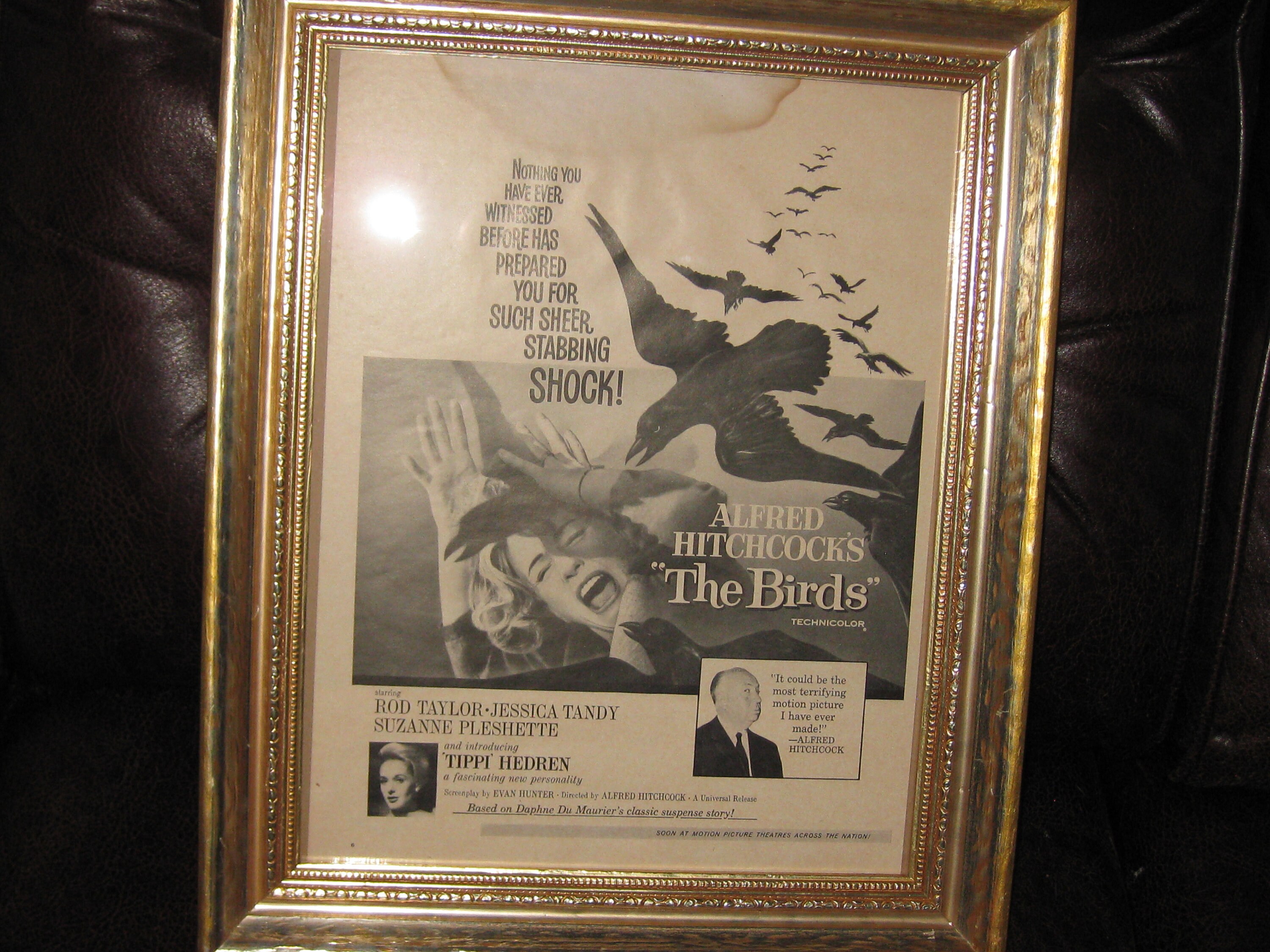 ORIGINAL NEWSPAPER ADVERTISEMENT Alfred Hitchcock's the Birds Rod